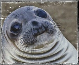 AwkwardSeal_frame_2